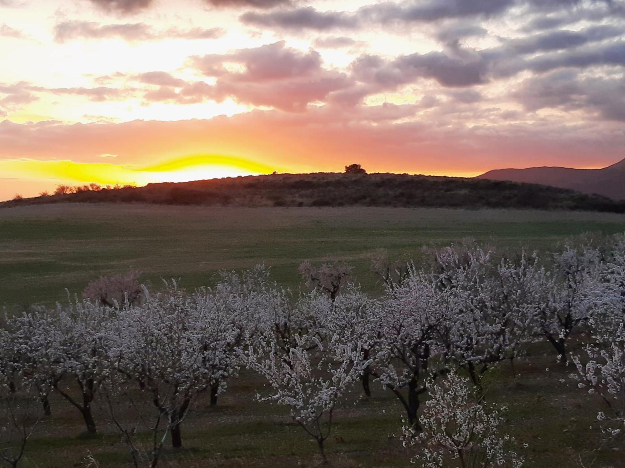 Hotel Rural Flor De Almendro 拉奥雷 外观 照片